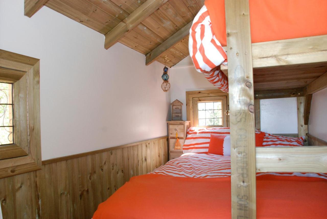 Vila Harvest Moon Treehouse Dunbar Exteriér fotografie